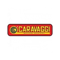 carvaggi_1076216720